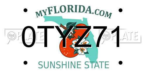 0TYZ71 Florida License Plate