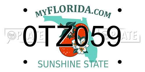 0TZ059 Florida License Plate