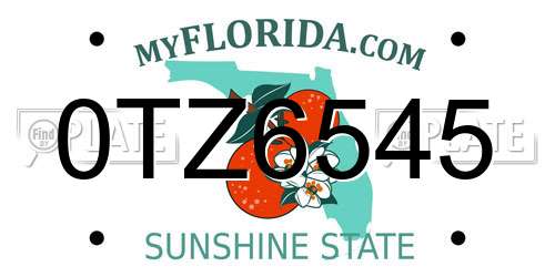 0TZ6545 Florida License Plate