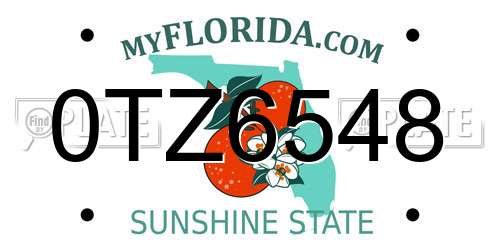 0TZ6548 Florida License Plate
