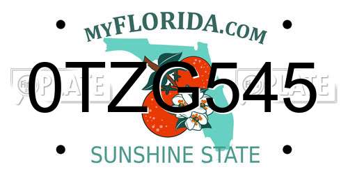 0TZG545 Florida License Plate