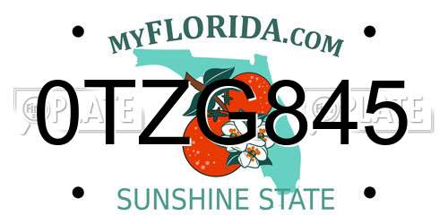 0TZG845 Florida License Plate