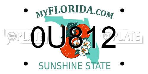 0U812 Florida License Plate