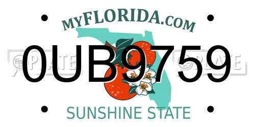 0UB9759 Florida License Plate