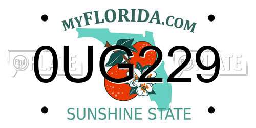 0UG229 Florida License Plate