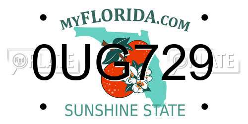 0UG729 Florida License Plate