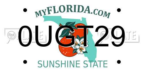 0UGT29 Florida License Plate
