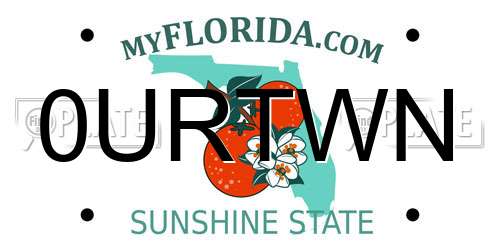 0URTWN Florida License Plate