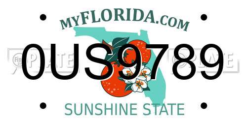 0US9789 Florida License Plate
