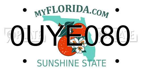 0UYE080 Florida License Plate