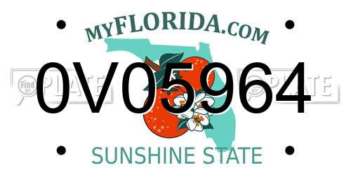 0V05964 Florida License Plate