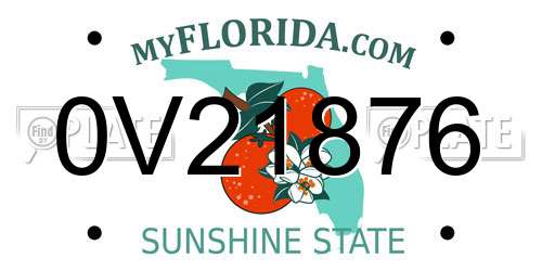 0V21876 Florida License Plate