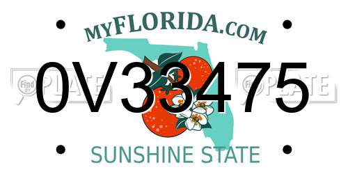0V33475 Florida License Plate