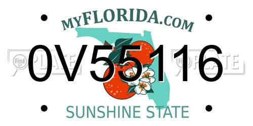0V55116 Florida License Plate