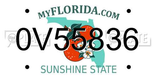 0V55836 Florida License Plate