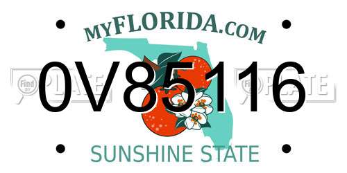 0V85116 Florida License Plate