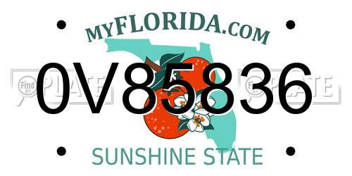 0V85836 Florida License Plate