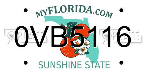 0VB5116 Florida License Plate