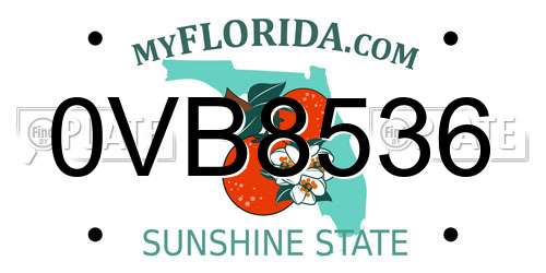 0VB8536 Florida License Plate