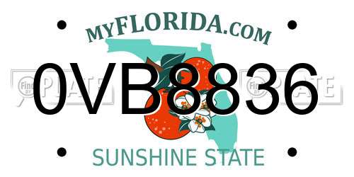 0VB8836 Florida License Plate