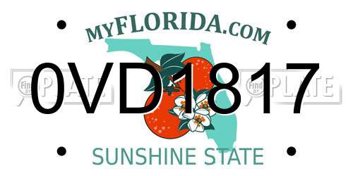 0VD1817 Florida License Plate