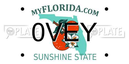 0VEY Florida License Plate