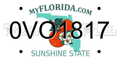 0VO1817 Florida License Plate