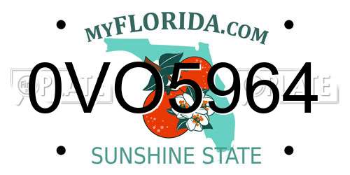 0VO5964 Florida License Plate