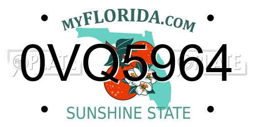 0VQ5964 Florida License Plate