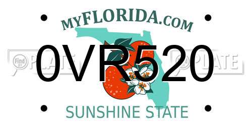 0VR520 Florida License Plate
