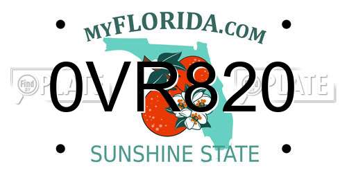 0VR820 Florida License Plate
