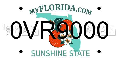 0VR9000 Florida License Plate