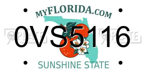 0VS5116 Florida License Plate