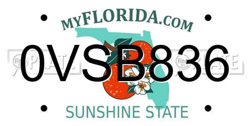 0VSB836 Florida License Plate