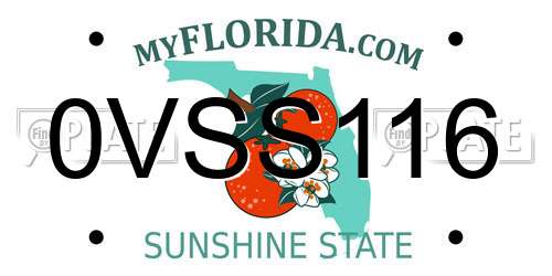 0VSS116 Florida License Plate