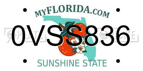 0VSS836 Florida License Plate