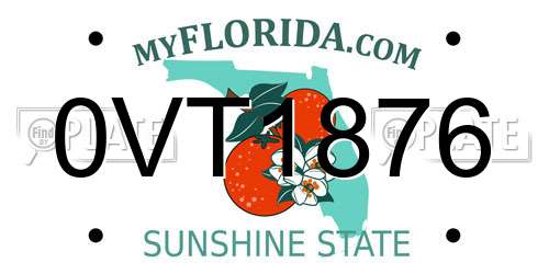 0VT1876 Florida License Plate