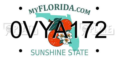 0VYA172 Florida License Plate