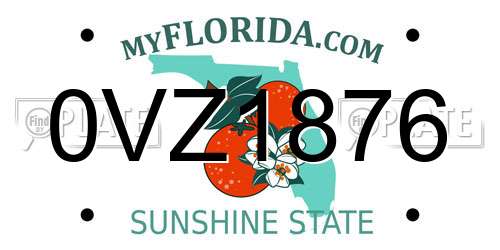 0VZ1876 Florida License Plate