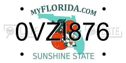 0VZI876 Florida License Plate