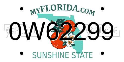 0W62299 Florida License Plate