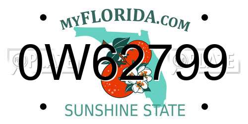 0W62799 Florida License Plate