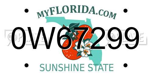 0W67299 Florida License Plate