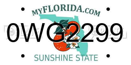 0WG2299 Florida License Plate
