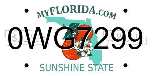 0WG7299 Florida License Plate