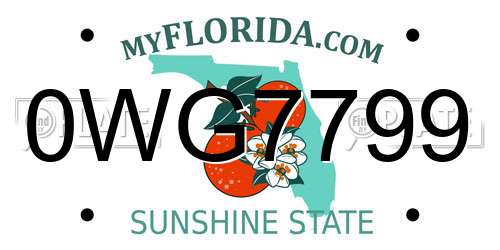 0WG7799 Florida License Plate
