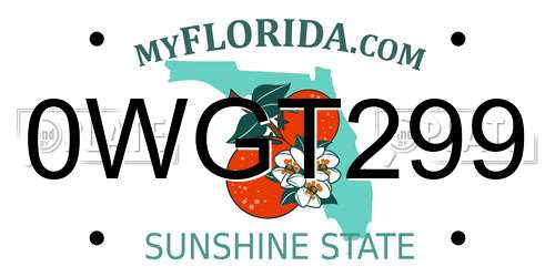 0WGT299 Florida License Plate