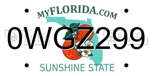 0WGZ299 Florida License Plate