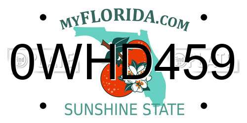 0WHD459 Florida License Plate