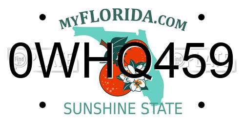 0WHQ459 Florida License Plate
